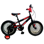 دوچرخه-TPT-bike-16180