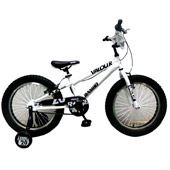 دوچرخه-TPT-bike-20194