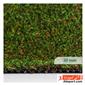 artificial-grass_paeez-1-S.webp