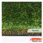 artificial-grass_paeez-9-S.webp