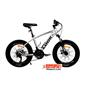 bike_2CHARKHE-LOOK-TOPIC--20-h-1-S.webp