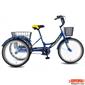 bike_Alex-Relax-20303-h-1-S.webp