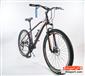 bike_alex-775-h-1-S.webp