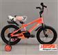 bike_caprio-Freeride16-h-2-S.webp