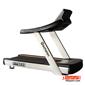commercial-treadmill_Echelon-EF7619-h-2-S.webp