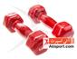 dumbbell-and-barbell_1-2-S.webp