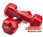 dumbbell-and-barbell_3kgA-record-S.webp