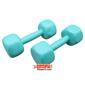 dumbbell-and-barbell_RADIS-FIT-DAMBELL-9kg-2-S.webp