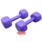 dumbbell-and-barbell_RADIS-FIT-DAMBELL-9kg-3-S.webp
