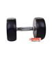 dumbbell-and-barbell_RECORD-DAMBELL-GERD-10KG-h-3-S.webp