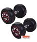 dumbbell-and-barbell_RECORD-DAMBELL-GERD-12.5KG-h-1-S.webp