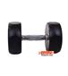 dumbbell-and-barbell_RECORD-DAMBELL-GERD-12.5KG-h-3-S.webp