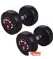 dumbbell-and-barbell_RECORD-DAMBELL-GERD-15KG-h-1-S.webp