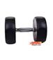 dumbbell-and-barbell_RECORD-DAMBELL-GERD-15KG-h-3-S.webp