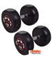 dumbbell-and-barbell_RECORD-DAMBELL-GERD-17.5KG-h-1-S.webp