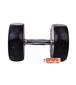 dumbbell-and-barbell_RECORD-DAMBELL-GERD-17.5KG-h-3-S.webp