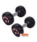 dumbbell-and-barbell_RECORD-DAMBELL-GERD-2.5KG-h-1-S.webp