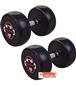 dumbbell-and-barbell_RECORD-DAMBELL-GERD-20KG-h-1-S.webp