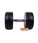 dumbbell-and-barbell_RECORD-DAMBELL-GERD-20KG-h-3-S.webp