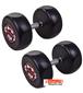 dumbbell-and-barbell_RECORD-DAMBELL-GERD-22.5KG-h-1-S.webp