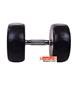 dumbbell-and-barbell_RECORD-DAMBELL-GERD-22.5KG-h-3-S.webp