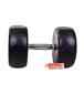dumbbell-and-barbell_RECORD-DAMBELL-GERD-25KG-h-3-1-S.webp