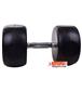 dumbbell-and-barbell_RECORD-DAMBELL-GERD-30KG-h-3-S.webp