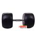 dumbbell-and-barbell_RECORD-DAMBELL-GERD-45KG-h-3-S.webp