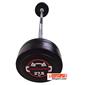 dumbbell-and-barbell_RECORD-barbel-saff-27.5k-h-S.webp
