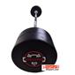 dumbbell-and-barbell_RECORD-barbel-saff-50k-h-S.webp