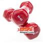 dumbbell-and-barbell_Record-dambble-h-S.webp