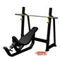 exercise-bench_PARAMETR-FITNESS-MIZ-PRESS-BALA-SINEH-h-1-S.webp