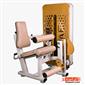 gym-lower-body-machine_ALAMUT-JELO-PA-&-POSHTE-PA-H2-S.webp