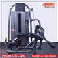 gym-lower-body-machine_JAHAN-SPORT-POSHTE-RAN-KHABIDEH-JS4-h-1-S.webp