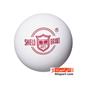 ping-pong-equipment_donic-ball-h1-S.webp